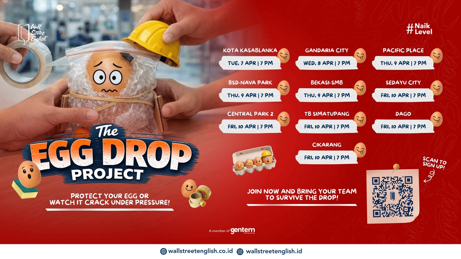 The Egg Drop Project